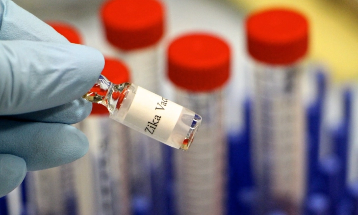 Waspada, Para Ahli Bicara Virus Zika: Ribuan Bayi Alami Kerusakan otak