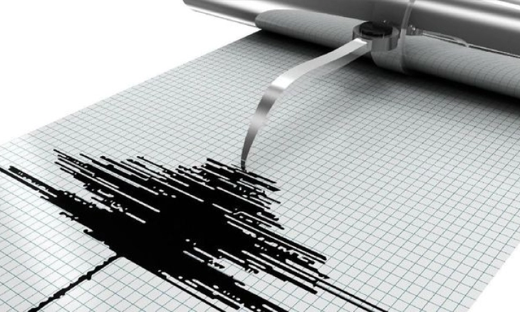 NEWS UPDATE: Gempa Larantuka, BMKG Keluarkan Peringatan Dini Tsunami
