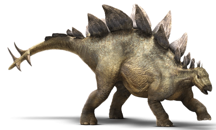 Stegosaurus, Spesies Dinosaurus Baru Tertua Ditemukan di Asia