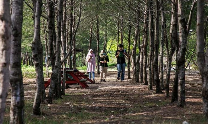 Taman Pendidikan Mangrove Labuhan Langkah Nyata Tahan Laju Abrasi