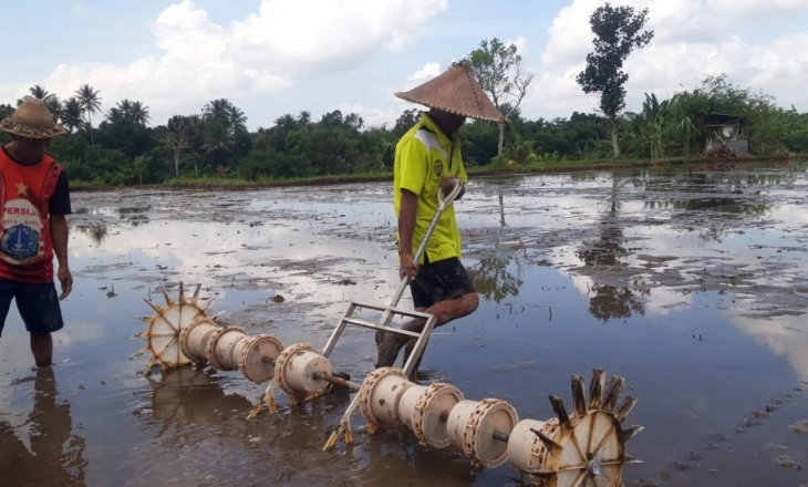 Petani Lombok Barat Tanam Padi Dicampur dengan Bubuk Besi