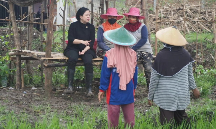 Praktik Mafia Pupuk Masih Jadi Pekerjaan Rumah