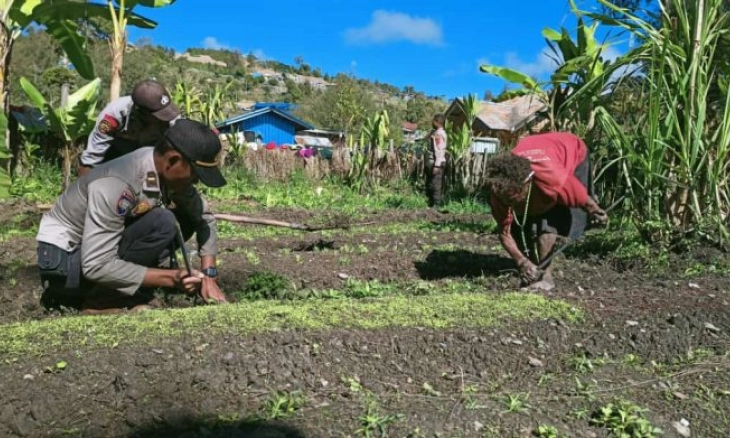 Polres Intan Jaya Bantu Warga Membuat Kebun Sayuran
