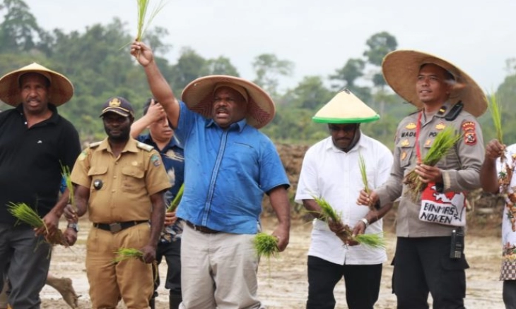 Wujudkan Ketahanan Pangan, Pemda Yahukimo Gelar Acara Tanam Padi Serentak