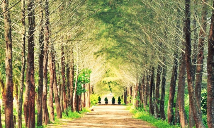Nami Island Ala Ala di Bangka Belitung