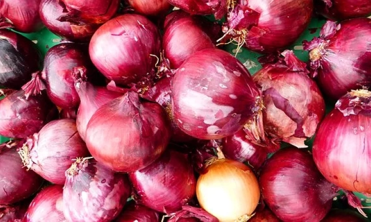 Kulit Bawang Sebagai Pupuk Organik