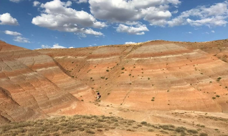 Ilmuwan Temukan Kembali 