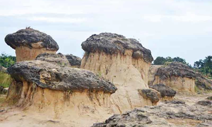 Tips untuk Berkunjung ke Bukit Jamur Bungah Gresik yang Unik