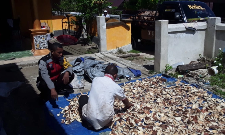  Di Negeri Kulur Ada Pengelola Kopra untuk Bahan Baku Pembuatan Minyak Goreng