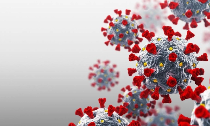 Virus: Covid-19 dan Flu Tomat, Kenali Persamaan dan Perbedaannya