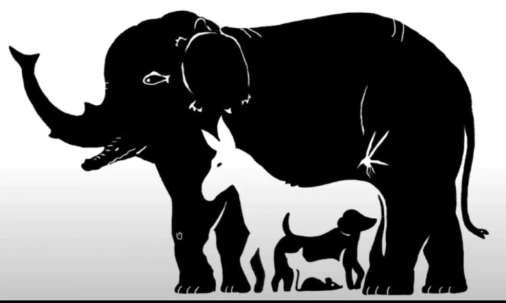 Ilusi Optik Hewan, Banyak Orang Salah Menjawabnya