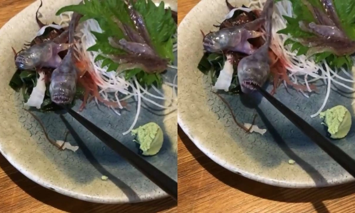 Heboh! Seekor Ikan yang Disajikan di Atas Piring sebagai Makanan Tiba-tiba Hidup
