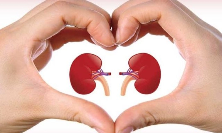 5 Cara Menjaga Kesehatan Ginjal