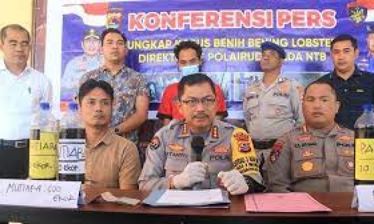 Polda NTB Gagalkan Penyelundupan 17.160 Benih Lobster Pasir dan Mutiara