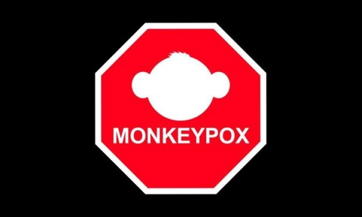 Cacar Monyet Melonjak, WHO Minta Kaum Homoseksual Batasi Pasangan Seks