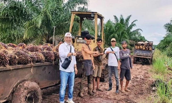 Sawit Jeblok, Petaninya Stres,Teriak-teriak di Kebun