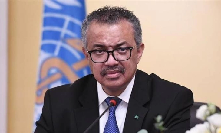 Investor Libya Ajak 3 Pengusaha Jepara Berbisnis Ikan