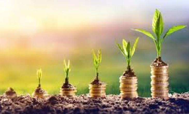 Bibit dan Antidot Studios Galang Milenial Gemar Investasi 