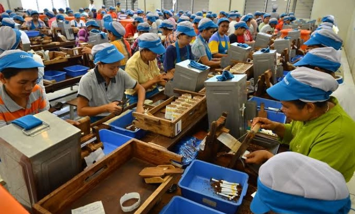 Industri Rokok dan Petani Tembakau Terancam Kenaikan Cukai 