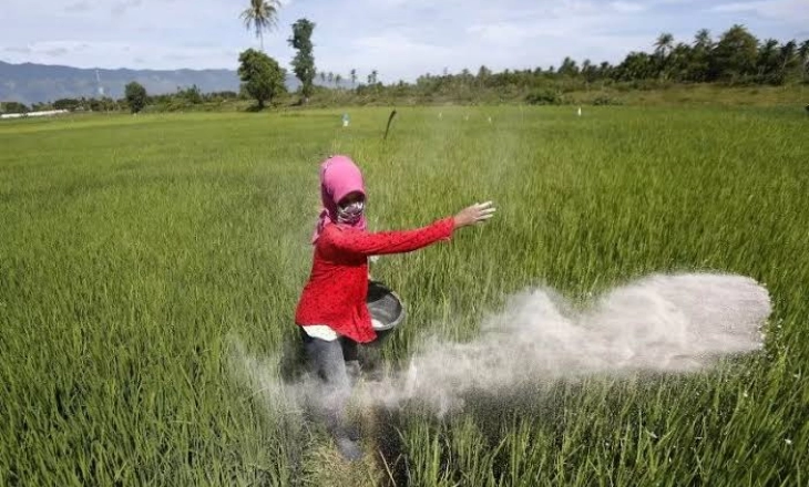 Jokowi Temui Putin, Urusan Pupuk Kelar, Perang Jalan Terus