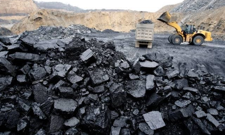 Jerman Ingin Jalin Kerja Sama Suplai Batu bara dengan Indonesia