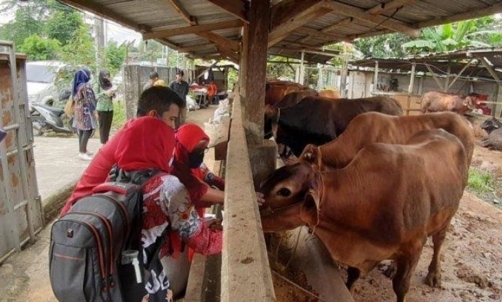 Rencana Borong Jutaan Vaksin dari Prancis, DPR 