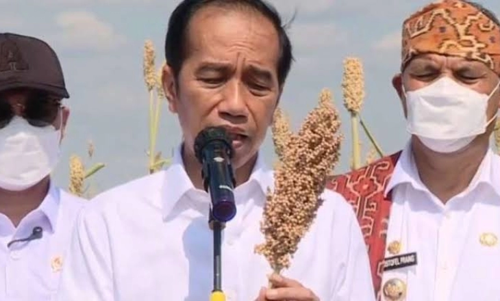 Percaya Krisis Pangan Sudah Terjadi, Presiden Jokowi Dorong Diversifikasi  
