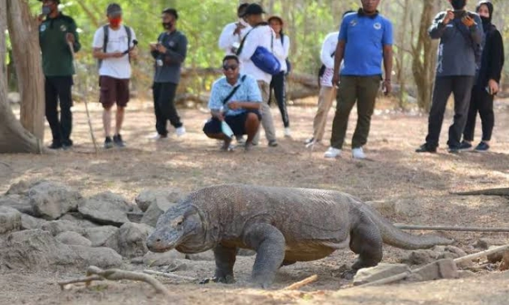 Plesiran ke Pulau Komodo, Menteri Sandi: Siapkan Rp4 Juta/Orang