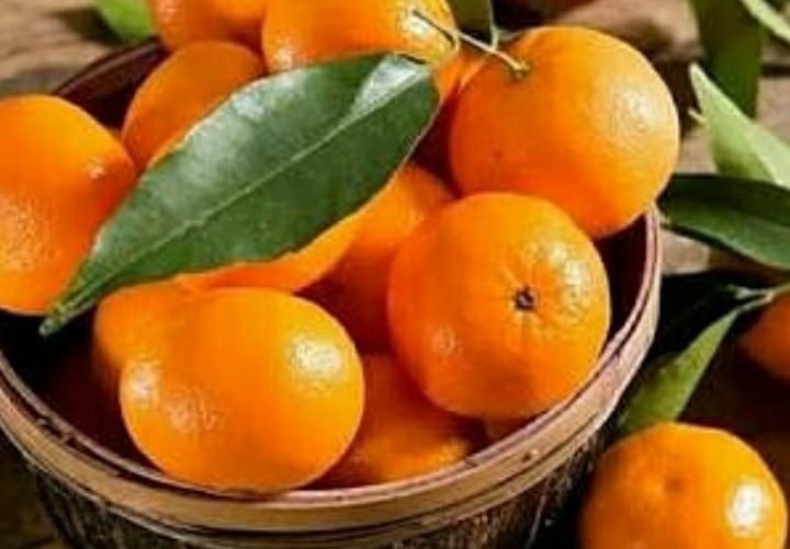 6 Jenis Buah Jeruk yang Manis dan Populer