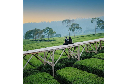 Daya Tarik Nuansa Riung Gunung di Bandung 