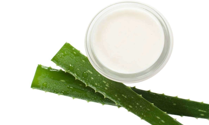 5 Manfaat Jus Lidah Buaya Bagi Kesehatan