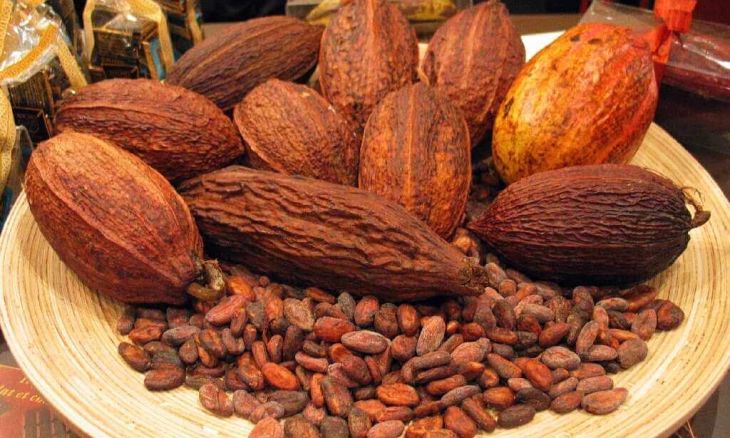 Kakao Membantu Mengurangi Tekanan Darah dan Kekakuan Arteri