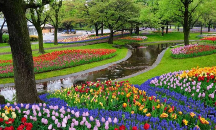 Kampoeng Tulip Wisata Bandung Rasa Belanda 
