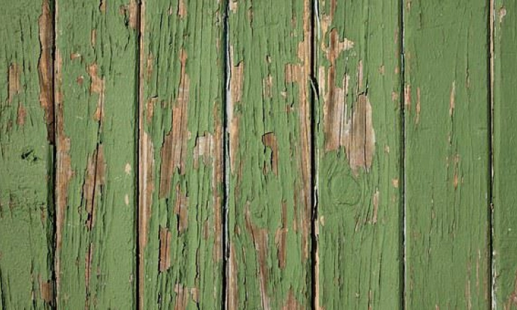 Air Cucian Beras untuk Basmi Rayap di Rumah