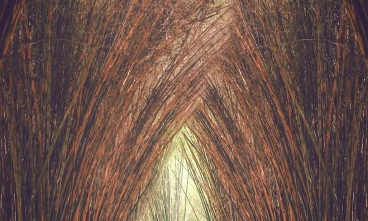 Hutan Bambu Surabaya Gak Kalah Sama Arashiyama Jepang