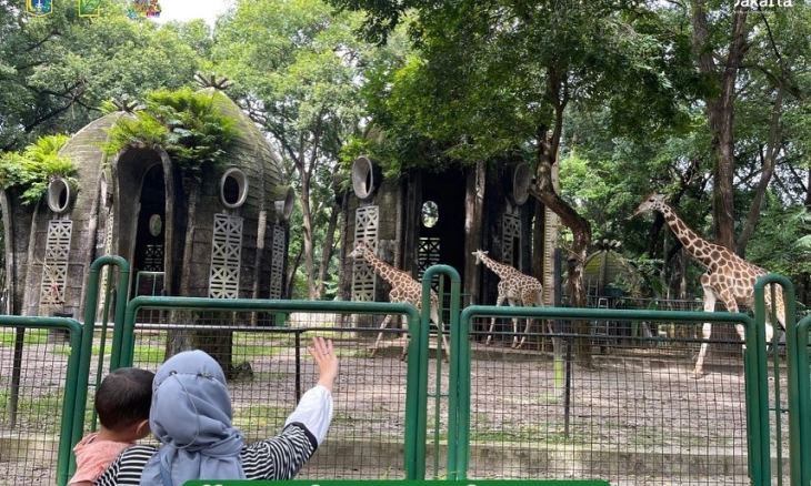 Empat Cara Seru Liburan ke Kebun Binatang