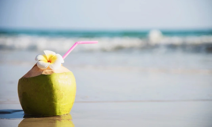 Manfaat Air Kelapa Bagi Ibu Hamil 