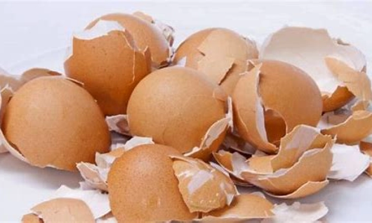 Sering Dibuang, Ini Dia Manfaat Kulit Telur untuk Kesehatan