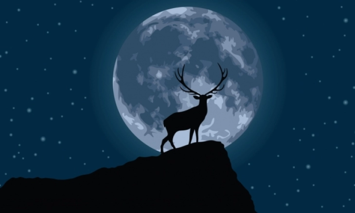 Tanggal 14 Juli 2022 Bakal Terjadi Fenomena Alam Purnama Rusa Super 