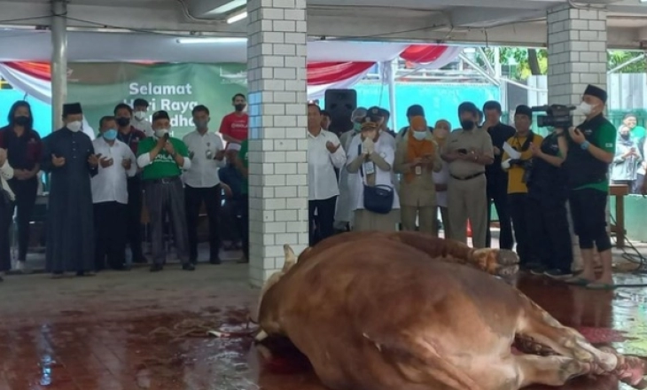 Hewan Kurban Presiden dan Wapres Disembelih Hari Ini