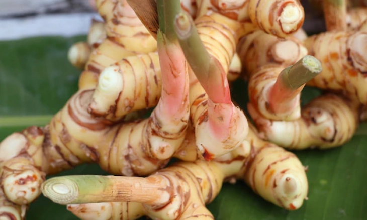Atasi Rambut Tipis dengan Lengkuas