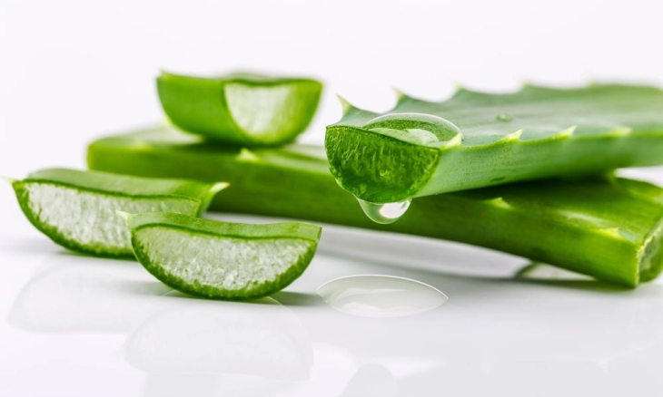 Lidah Buaya untuk Maag, Kenali Sebelum Mengkonsumsinya