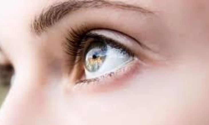 Berikut Beberapa Makanan yang dapat Membantu Penglihatan