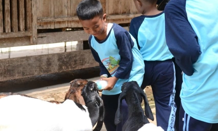Serunya D’Kandang Amazing Farm untuk anak