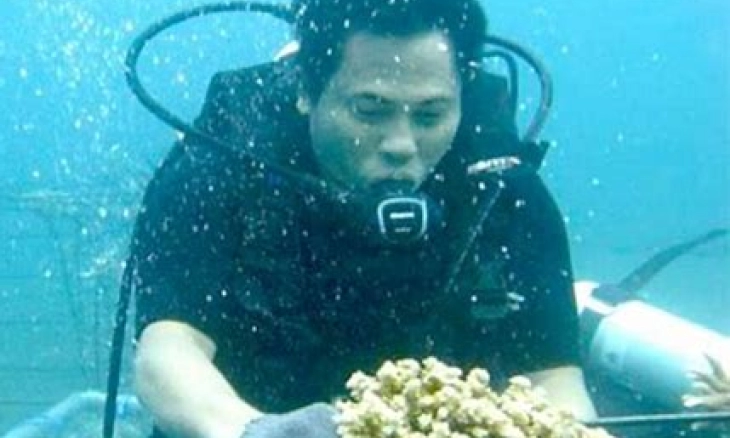 5 Cara Mengatasi Kuping Sakit Karena Menyelam