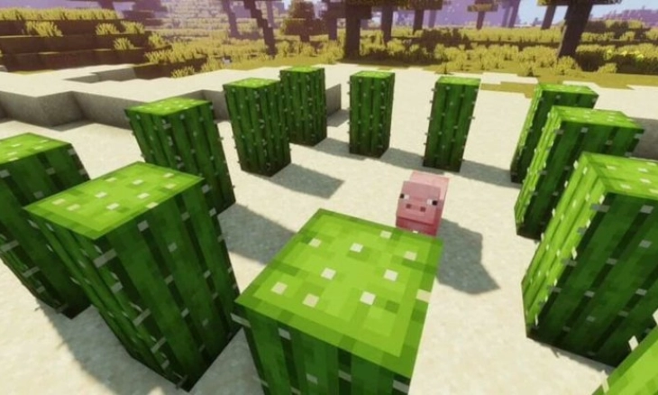 4 Cara Terbaik Menggunakan Kaktus di Minecraft