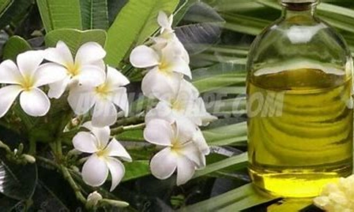 Kenali Manfaat Tersembunyi Minyak Kamboja untuk Kesehatan