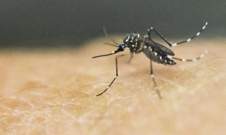 Hari Malaria Sedunia, Kenali Gejala dan Cara Pencegahannya