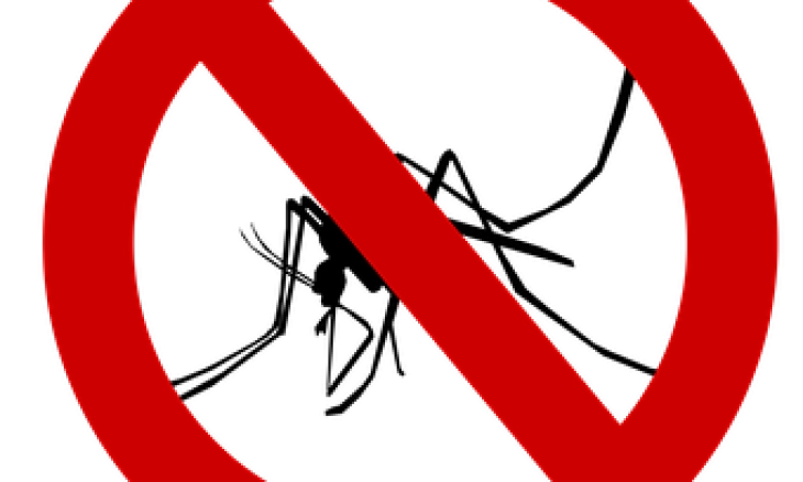 Membuat Rumah Bebas Nyamuk