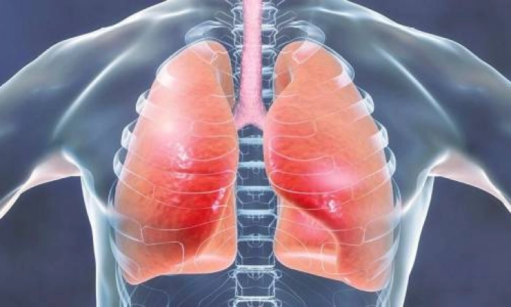 Para Ilmuwan Temukan RAS Organ Baru dalam Tubuh Manusia